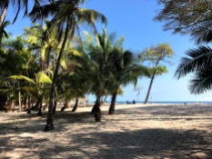 Playa Barrigona Costa Rica 2